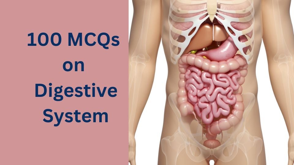 100 MCQs on Digestive System Anatomy with answers in Pdf