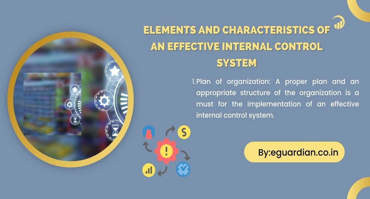 Elements and Characteristics of an effective internal control system