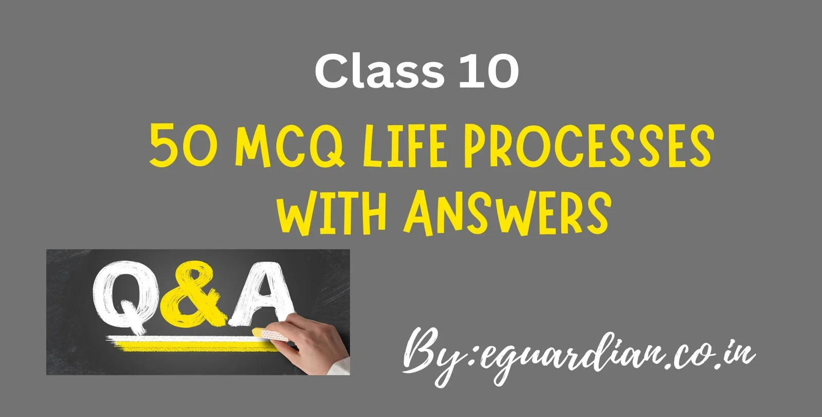 50 MCQ Life Processes Class 10 with Answers